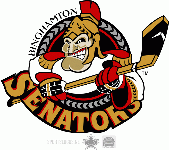 Binghamton Senators 2002 03-Pres Primary Logo iron on transfers for clothing